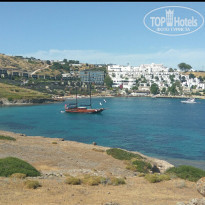 фото из отзыва ID 1966998