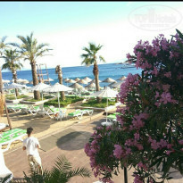 фото из отзыва ID 1966998