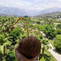 фото из отзыва ID 1967181