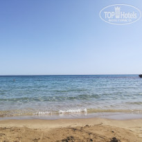 фото из отзыва ID 1967185