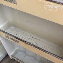 фото из отзыва ID 1967284