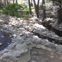 фото из отзыва ID 1967197