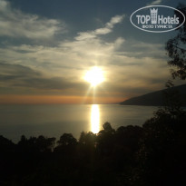 фото из отзыва ID 1967321