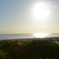 фото из отзыва ID 1967355