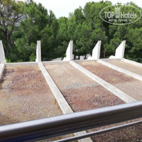 фото из отзыва ID 1967504