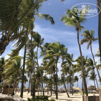 фото из отзыва ID 1967574