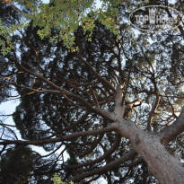 фото из отзыва ID 1967571