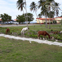 фото из отзыва ID 1967581