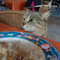 фото из отзыва ID 1967581