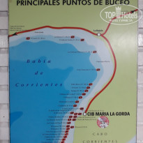 фото из отзыва ID 1967581