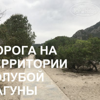 фото из отзыва ID 1967630