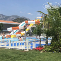 фото из отзыва ID 1967655