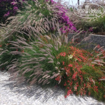 фото из отзыва ID 1967827