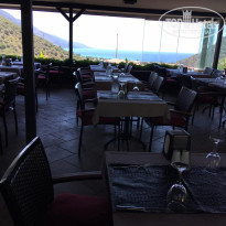 фото из отзыва ID 1967627