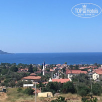 фото из отзыва ID 1967627