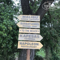 фото из отзыва ID 1967904