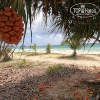 фото из отзыва ID 1967891