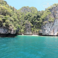 фото из отзыва ID 1967891