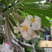 фото из отзыва ID 1967891