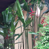 фото из отзыва ID 1967891