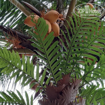 фото из отзыва ID 1967891