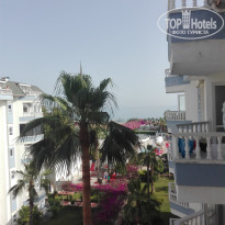 фото из отзыва ID 1968071