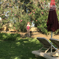 фото из отзыва ID 1968168