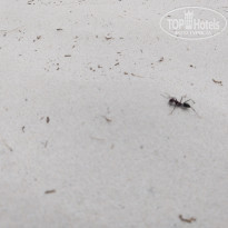 фото из отзыва ID 1968190