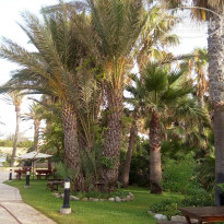 фото из отзыва ID 1968244