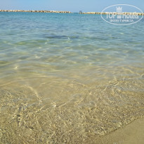 фото из отзыва ID 1968229