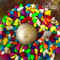 фото из отзыва ID 1968271