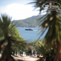 фото из отзыва ID 1968206