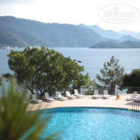 фото из отзыва ID 1968206