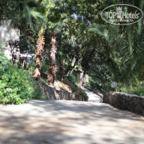 фото из отзыва ID 1968206