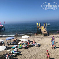 фото из отзыва ID 1968328