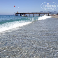 фото из отзыва ID 1968263