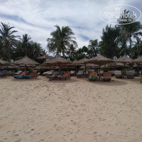 фото из отзыва ID 1968378