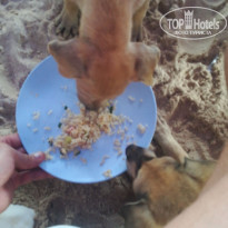 фото из отзыва ID 1968421