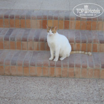 фото из отзыва ID 1968490