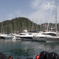 фото из отзыва ID 1968452