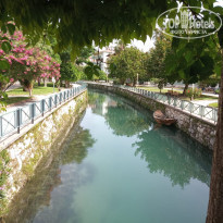 фото из отзыва ID 1968517