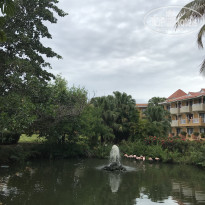 фото из отзыва ID 1967329