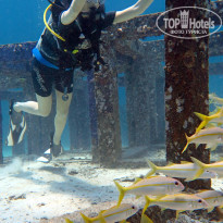 фото из отзыва ID 1967877