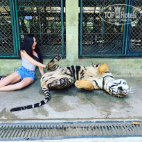 фото из отзыва ID 1967877