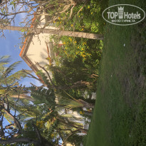 фото из отзыва ID 1968821