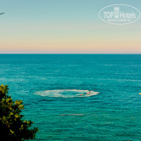 фото из отзыва ID 1968839