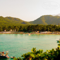 фото из отзыва ID 1968839