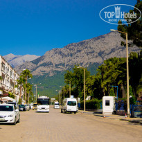 фото из отзыва ID 1968839