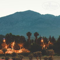 фото из отзыва ID 1968839