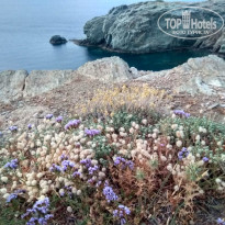 фото из отзыва ID 1968879